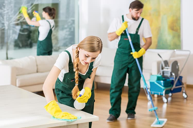 A Comprehensive Guide to Office Cleaning Services for Enhanced Productivity