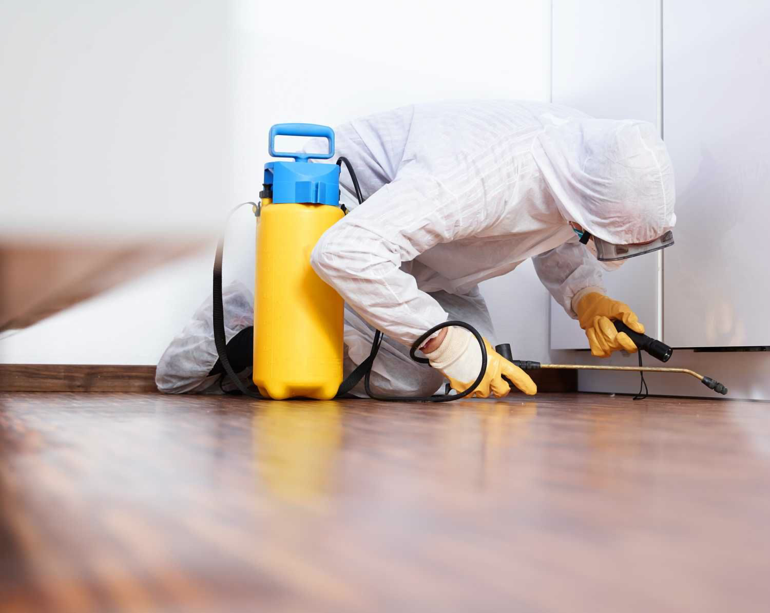 Insecticide Use: Keeping Your Home Pest-Free and Safe