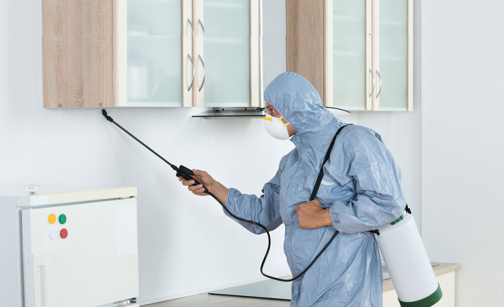 Eliminating Pests: The Vital Role of Professional Pest Control Services
